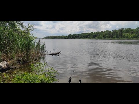 Видео: Ловля карася на флэт на Днепре.