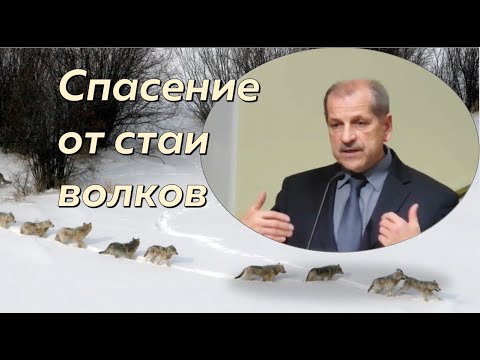 Видео: Помни путь 6/7. Спасение от стаи волков \\ Владимир Миняков
