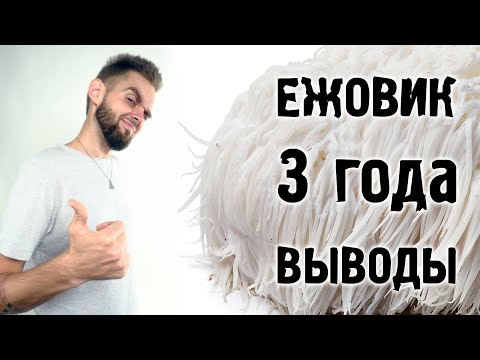 Видео: ЕЖОВИК ГРЕБЕНЧАТЫЙ - Краткий гайд от А до Я | ЛИЧНЫЙ ОПЫТ
