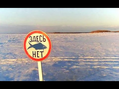 Видео: НИВА, облом рыбалки