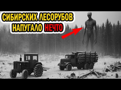 Видео: Неизвестное гуманойдное существо наводило ужас на лесорубов по ночам
