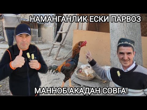 Видео: МАНА СИЗГА У́ША НАМАНГАНЛИК ЕСКИ ПАРВОЗ МАННОБ АКА ДАКАНЛАРИ ХОШИМОВ ТВ ГА СОВГА НИМА?