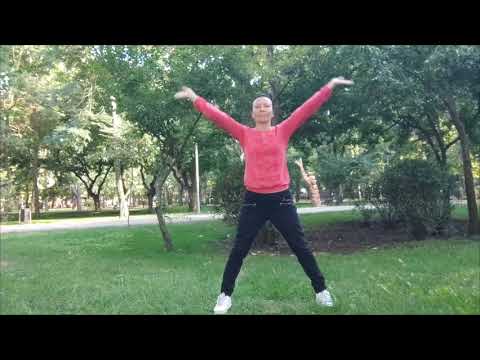 Видео: Баланс 4-х Стихий у шк.33 возле музея Универсологии. МОксана русина. НШУ