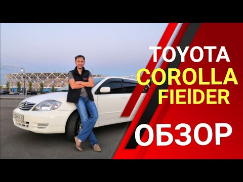 Видео: Corolla Fielder?! Старый конь борозды не испортит