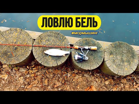 Видео: #мормышинг | Бель на мормышку |