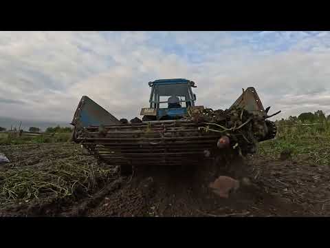 Видео: Трактор МТЗ-82 копает картошку!