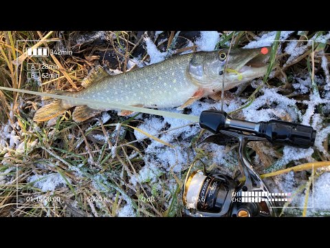 Видео: С самодельным стеклянным спиннингом по Дубне.