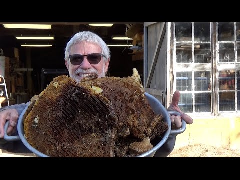 Видео: Вытапливаем пчелиный воск. Делаем старое новым.