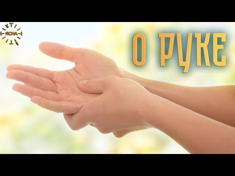 Видео: Урок 50. О РУКЕ. Полная версия. Русская Школа Русского Языка