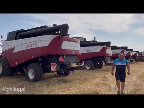 Видео: ООО СХП «Колхоз имени Ленина» станицы Галюгаевской