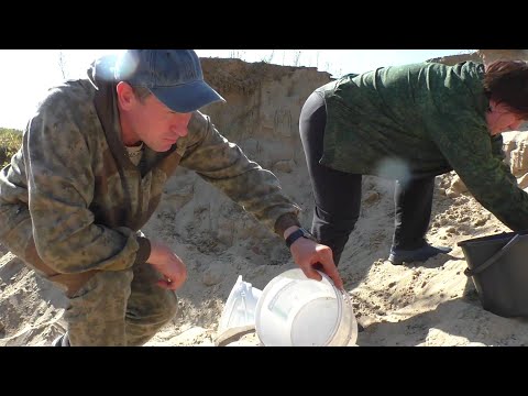Видео: КУДА УХОДЯТ ГРИБЫ!? Что с ними делать и КАК ХРОНИТЬ! Навели порядок в подвале