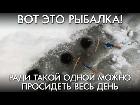 Видео: ВОТ ЭТО РЫБИНА / РАДИ ТАКОЙ ОДНОЙ МОЖНО ПРОСИДЕТЬ ВЕСЬ ДЕНЬ