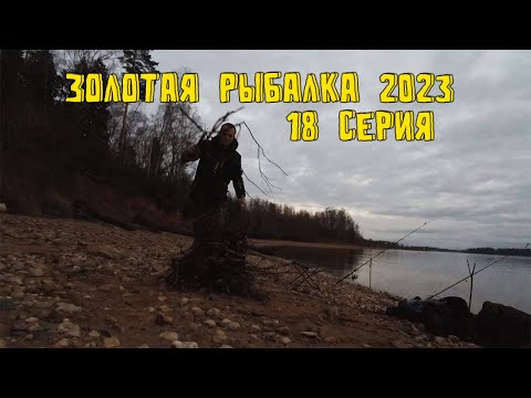 Видео: Золотая Рыбалка 2023. Последняя рыбалка в тёплый ноябрьский денёк. 18 серия