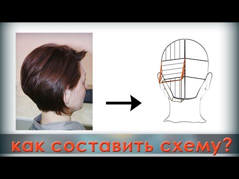 Видео: Как составить схему для стрижки?