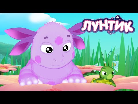 Видео: Лунтик 🥑🍐🍓 Кто там? 🌾🌿🍃 Сборник мультиков для детей