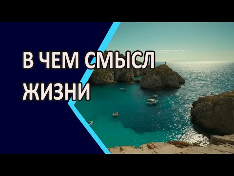 Видео: В чем СМЫСЛ Жизни
