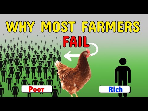 Видео: Почему большинство птицеводов терпят неудачу и что вместо этого делают успешные фермеры