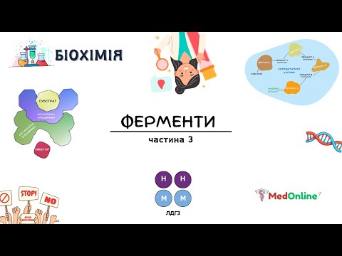 Видео: Ферменти | Регуляція Активності, Ізоферменти, Клінічне Значення