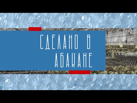 Видео: Сделано в Абакане// Производство мясных полуфабрикатов - Абакан 24