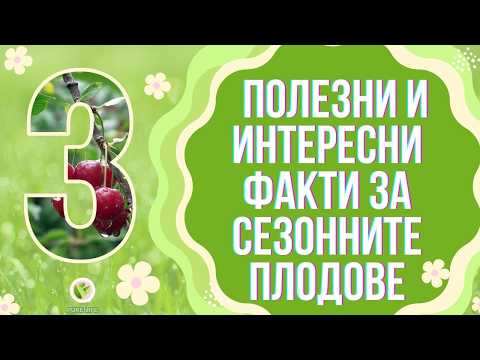 Видео: 🍓КОИ СЕЗОННИ ПЛОДОВЕ ТЕ ПРАВЯТ ПО-ЗДРАВ?🍒