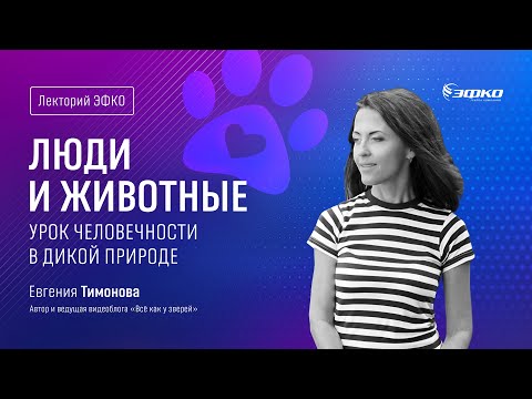 Видео: Лекторий ЭФКО. «Люди и животные. Урок человечности в дикой природе» – биолог Евгения Тимонова