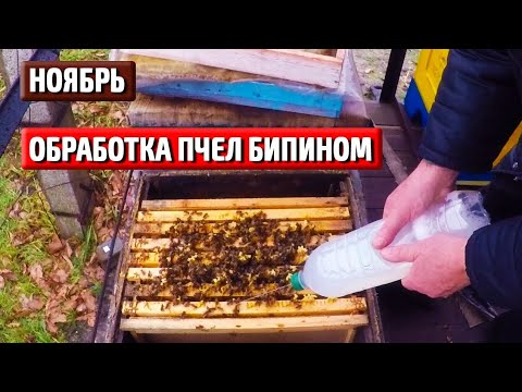 Видео: Асалари оилаларининг кишлаши олдидан варро канасига карши сунги даволаш