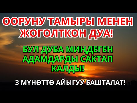 Видео: Пайгамбардын дубасы ооруларды көз ирмемде жок кылып, толук айыктырат | 1