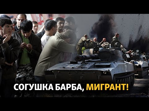 Видео: Согушка барба, мигрант
