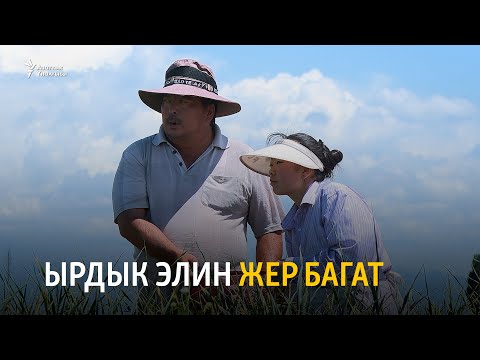 Видео: Ырдыктын элин жер багат