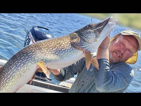 Видео: ЩУКА 13КГ!!! Новый РЕКОРД Чуланова. Тренировки Pro Anglers League 2022