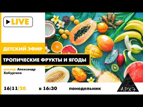 Видео: Детский эфир "Тропические фрукты и ягоды" в рамках рубрики "Путешествия с натуралистом"