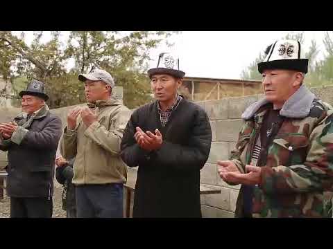 Видео: Ноокат р Кенеш айылы аламан  улак