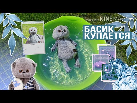 Видео: КАК ПРАВИЛЬНО ПОМЫТЬ БАСИКА|чем сушить|чем мыть и как сохранить усы|Basik TV