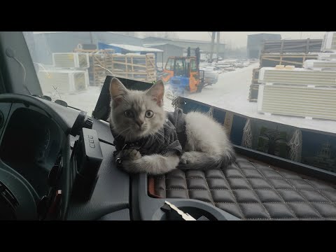 Видео: Рейс в Иркутск часть 2 (почему же я назвал кота Ев?)