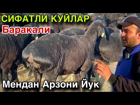 Видео: 20 октября 2025 г.НАРХЛАРНИ МЕН ТУШИРАМАН МЕНДАН АРЗОНИ ЙУК! Тухли КУЙЛАР! 