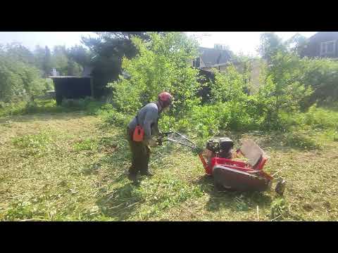 Видео: удаление деревьев и скос бурьяна мульчером zimani lm 100 в московской области 8-916-789-86-13
