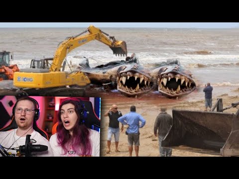 Видео: Они Поймали Самое Опасное Животное в Азии | РЕАКЦИЯ на Smart Pizza