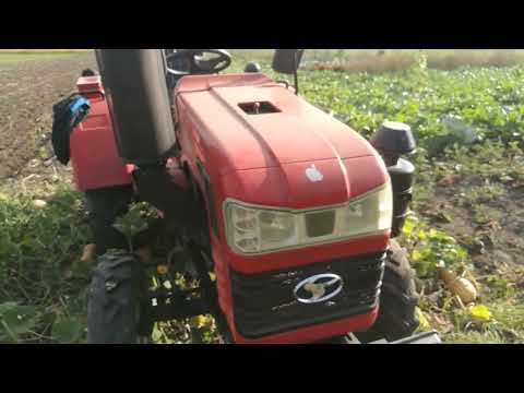 Видео: Копання картоплі Шифенг 350 l Копалка Вови Петрика