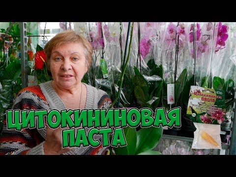 Видео: Цитокининовая паста 🌟 Где применяется? 🌟 Полезные советы цветоводам от hitsadTV