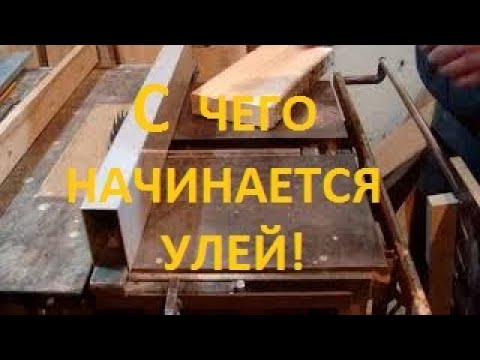 Видео: С чего начинается улей.