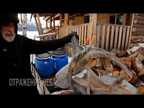 Видео: Отражение неба