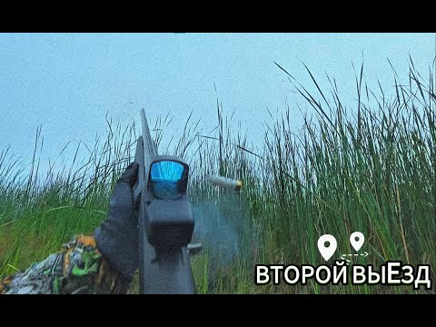Видео: Охота осенью 2025