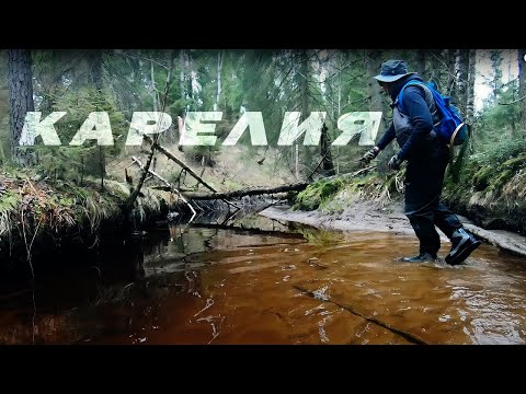 Видео: КАРЕЛИЯ/ТРУДНАЯ ФОРЕЛЬ/ОКУПИЛ БЕНЗИН НАХОДКОЙ...