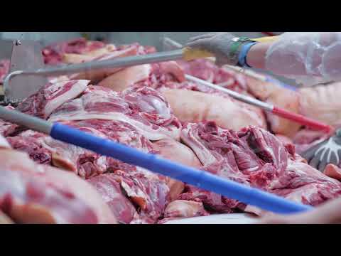 Видео: Производство кормов для животных от команды "Живая Сила" в Санкт-Петербурге