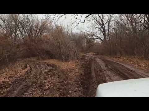 Видео: НИВА. ОСТРОВ САРПИНСКИЙ. NIVA. SARPINSKY ISLAND🏝. 08.11.2024.