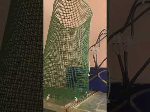 Видео: Някои  съвети за начинаещи пък и за напреднали