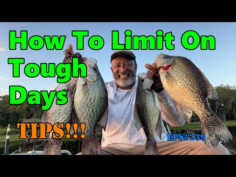 Видео: Советы: как поймать лимит в трудные дни #acccrappiestix #crappiefishing #redodo