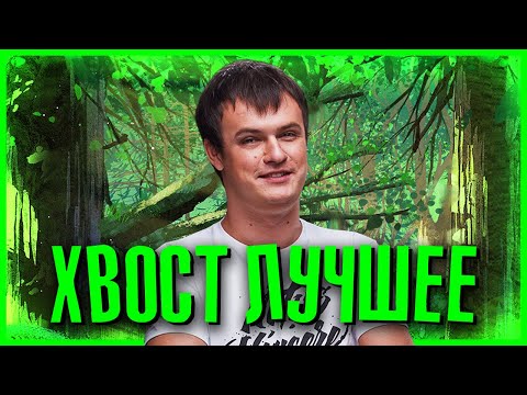 Видео: ЛУЧШЕЕ С ХВОСТОМ