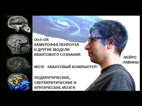 Видео: Гипотезы квантового сознания и критического мозга. Мозг – квантовый компьютер или усилитель хаоса?