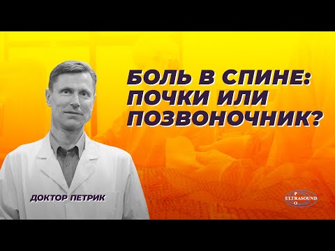 Видео: Боль в спине : почки или позвоночник?